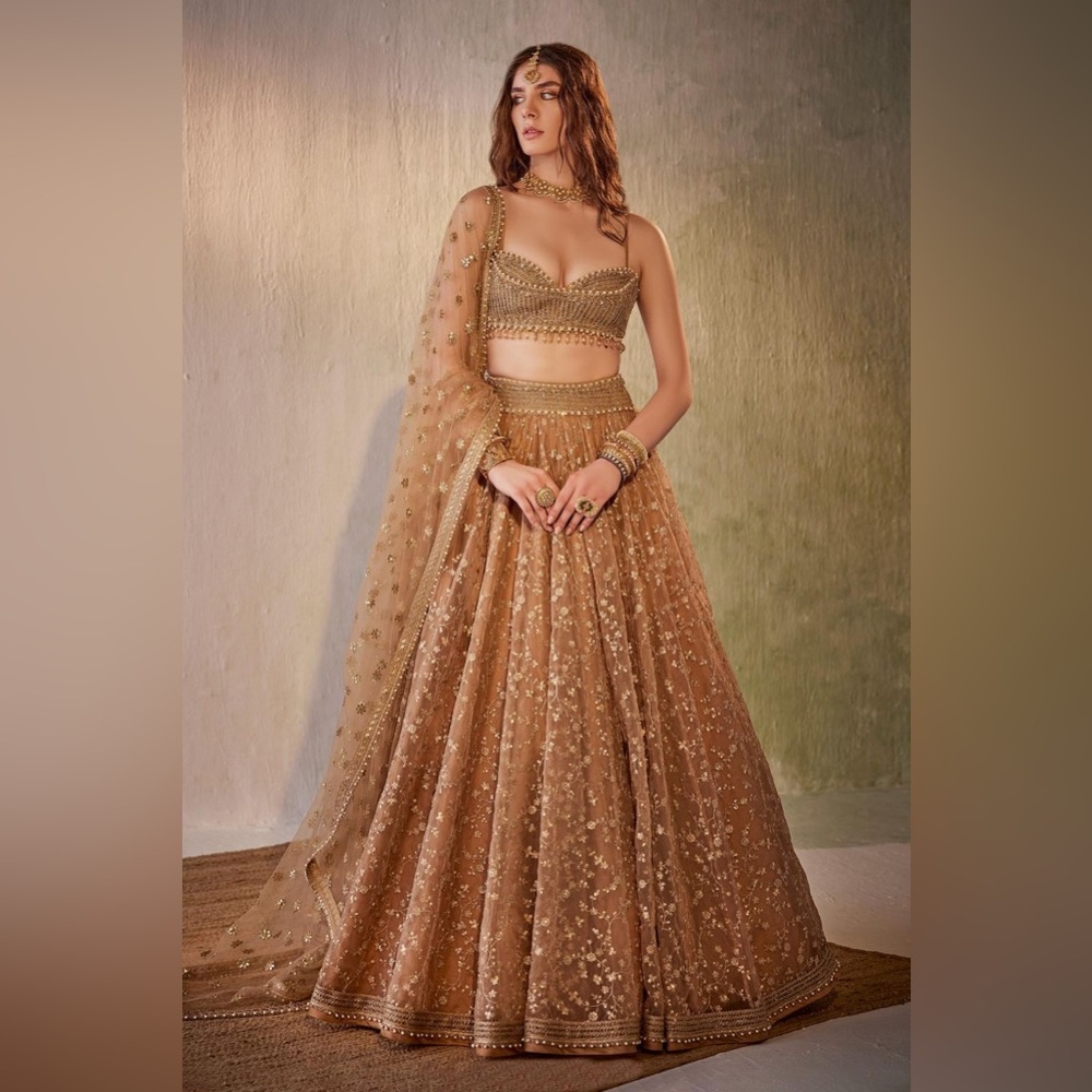 Cedar & Pine Gold Organza Embroidered Sequin Lehenga Set Size S